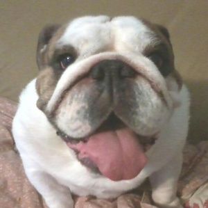 Meet your Posher, Galvan